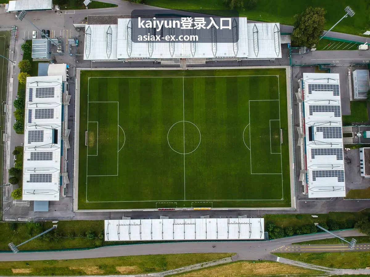 kaiyun登录入口-帮助中心服务说明图